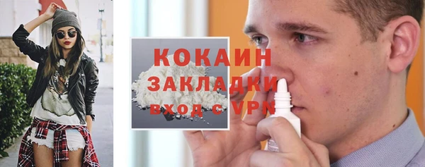 стаф Алексин