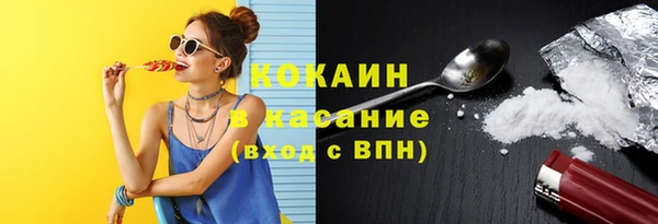 стаф Алексин
