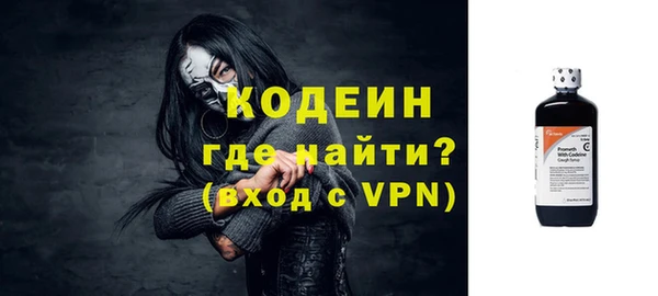 индика Слюдянка