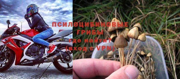 дмт Алзамай
