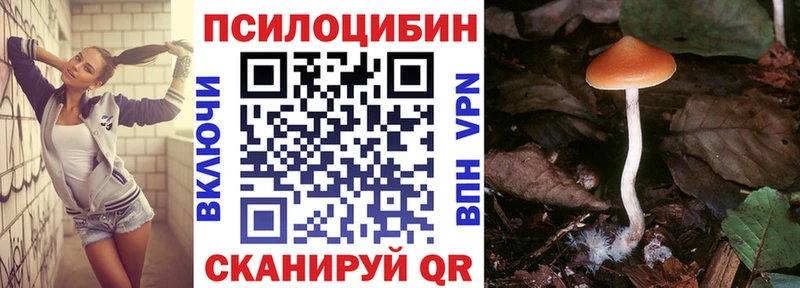 купить закладку  Бронницы  мега ссылки  Псилоцибиновые грибы мухоморы 